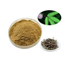 Maybe you would like to learn more about one of these? Factory Supply Best Price 5 1 10 1 20 1 Mimosa Hostilis Root Bark Extract Powder China Mimosa Hostilis Mimosa Hostilis Root Bark Extract Made In China Com