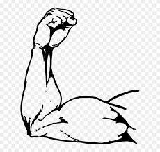 Arm Exercise Fist Flex Health Human Muscle Power Muscle Arms Drawing Free Transparent Png Clipart Images Download