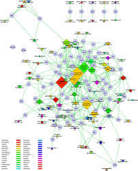 Image result for Vernonia kirungae