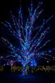 How To Wrap Lights Around Trees Very Helpful Info Http Www Christmaslightsetc Com Pages Christmas Lights Outside Hanging Christmas Lights Christmas Lights