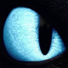 Can You Change Your Eye Colour In Pokemon Sword I Know It S Not The Right Color For Toothless Eye But It S Pretty Cool How Train Your Dragon How To Train Your Dragon How To Train Dragon