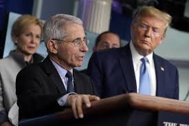 Some blame the president for all the world's problems and declare fauci the hero in this crisis; Editorial Dr Anthony Fauci Is The Coronavirus Truth Teller We Need Let Him Do His Work Los Angeles Times