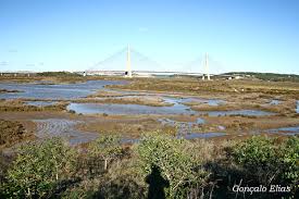 It offers villas with private or shared swimming pools. Castro Marim Natural Reserve Visit Portugal Birdwatching