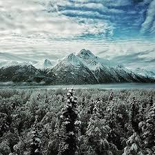 Alaska backcountry adventures offers mild to wild. Beautiful Winter View From Our Office Picture Of Alaska Backcountry Adventure Tours Palmer Tripadvisor