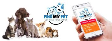 A pet can be a wonderful addition to your home. Find My Pet Home Facebook