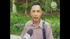 Kekosongan di syarikat tersebut telah membuka peluang kerja 2019 kepada warganegara malaysia yang berminat dalam bidang ini serta berkelayakan. Temubual Usahawan Ladang Getah 1 Pekebun Kecil Lembaga Industri Getah Sabah Youtube