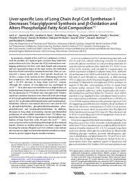 Scholarly Article or Book Chapter