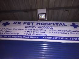 Have a question about your pet's health? Kr Pet Hospital 24 Hours Pet Clinic 24 Hours Pet Clinic