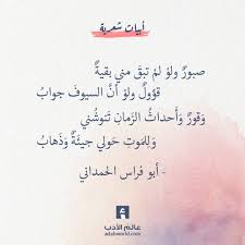 من اجمل ابيات الشعر لأبو فراس الحمداني عالم الأدب Words Quotes Spirit Quotes Quotes For Book Lovers