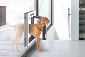 Insektenschutzgitter Dachfenster Katzen Hundeklappe Planigraph