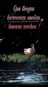 Buenas Noches Video Poemas De Buenas Noches Palabras De Buenas Noches Gifts De Buenas Noches
