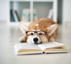 Paws to Read