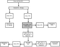 So, this is how it goes High Flow Nasal Cannula Oxygen Therapy To Treat Patients With Hypoxemic Acute Respiratory Failure Consequent To Sars Cov 2 Infection Thorax