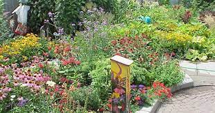 Plants For A Butterfly Garden Butterfly Garden Design Butterfly Garden Plants Garden Design Layout