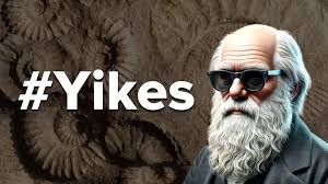 Dave Rowlands (@TrolleyDave1971)