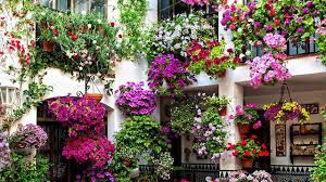 Lista di 35 tipi di fiori di primavera con relativi nomi e immagini; 10 Fiori Da Balcone Primaverili Come Scegliere Quelli Giusti