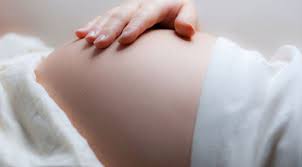FETUS ile ilgili görsel sonucu