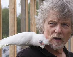 Abandoned birds find safe home at Iowa Parrot Rescue in Muscatine