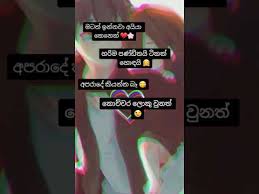 We did not find results for: 3 15 Mb Tik Tok Wadan Mix Download Lagu Mp3 Gratis Mp3 Dragon