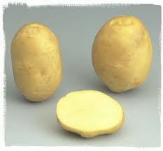 Variete Jaerla Le Plant Francais De Pomme De Terre Pomme De Terre Pomme Alimentation