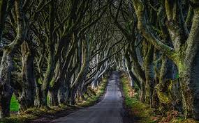 Ballymoney Tourism Best Of Ballymoney Northern Ireland Tripadvisor