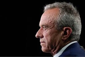 I have many questions. And some thoughts (so many thoughts), followed by  many more questions. It would be wonderful if the public was allowed to ask  them.