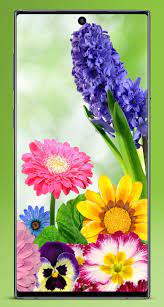 We did not find results for: Wallpaper Bunga Cantik Offline Pour Android Telechargez L Apk
