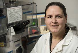 UMKC SCHOOL OF DENTISTRY NEWS Summer 2017