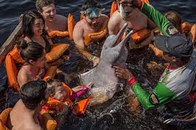 Image result for AmazonAstore