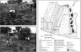 Maybe you would like to learn more about one of these? Macrodemographic Approaches To Population And Subsistence Farming Part Ii The Biodemography Of Subsistence Farming