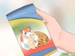 Pakan hamster banyak orang yang ingin memelihara hamster bertanya, pakan apa yang cocok untuk hamster? Cara Memberi Makan Hamster 10 Langkah Dengan Gambar Wikihow
