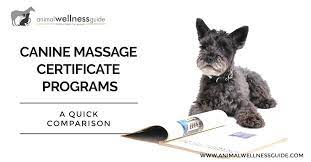 Study how to sterilize surgical tools & post surgery pet care at penn foster. Comparison Of Canine Massage Therapy Certificate Programs In The Us By Animal Wellness Guide Tw Animal Wellness Guide