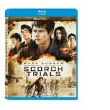 Cu diverta online ai cartile editurii litera la preturi speciale. Labirintul Tratament Letal