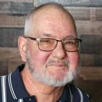 Michael "Mike" A. Palu Obituary