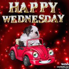 Cute Happy Wednesday Gif Happy Wednesday Gif Good Morning Wednesday Happy Wednesday Images