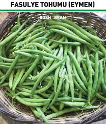 Fasulye Tohumu Eymen Https Www Tuanadogalyasam Com Urun Eymen Fasulye Tohumu Fasulye Tohum Organik Like4like Turkey T Fasulye Tohumlar Tohum