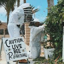 Maybe you would like to learn more about one of these? Why Do Beekeepers Charge For Live Bee Removal Beekeeping Like A Girl