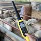 Using eID on farm: Practical skills for livestock producers
