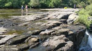 We did not find results for: High Falls County Park Grove Oak Al Home Facebook