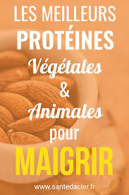 Comment Choisir Aliments Riches En Proteines Pour Maigrir Sante D Acier Proteine Pour Maigrir Pour Maigrir Quoi Manger Pour Maigrir