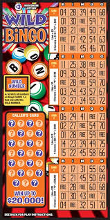 Super simple songs 3 music: Wild Bingo 2049 Wisconsin Lottery