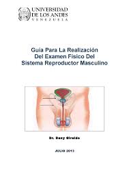 Maybe you would like to learn more about one of these? Calameo Guia Para La Realizacion Del Examen Fisico Del Aparato Reproductor Masculino