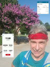 First crepe myrtle blooms of the summer.