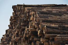 Maybe you would like to learn more about one of these? Lumber Prices 2021 Chart Price Of Lumber Continues To Plummet Down 49 From The Peak Fortune
