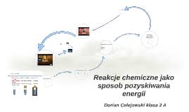 Profile Page For Patrycja Zinczuk Prezi