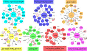 Cancer of the colon and rectum. Comparative Proteogenomic Analysis Of Right Sided Colon Cancer Left Sided Colon Cancer And Rectal Cancers Reveal Distinct Mutational Profiles Biorxiv