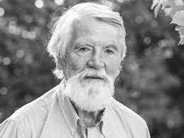 Trauer um Professor Peter Armbruster