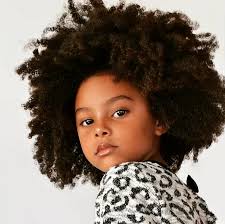 Lorsque la chevelure de votre petite princesse d'amour commence à devenir trop longue, vous savez qu'il est temps de mettre un peu d'ordre dans sa situation capillaire! 25 Idees De Coiffures Afro Pour Petites Filles