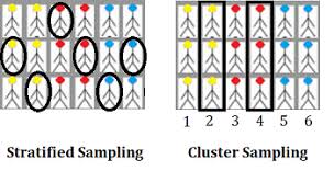 Software and hardware developer from russia. Difference Between Stratified Sampling Cluster Sampling And Quota Sampling Data Science Central