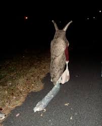 Halloween Slug Costume Aesthetic Meme Halloween Costumes Funny Halloween Costumes Costumes